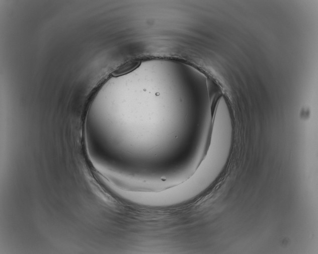 X0000091980397200709271431