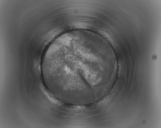 X0000091980398200709271431