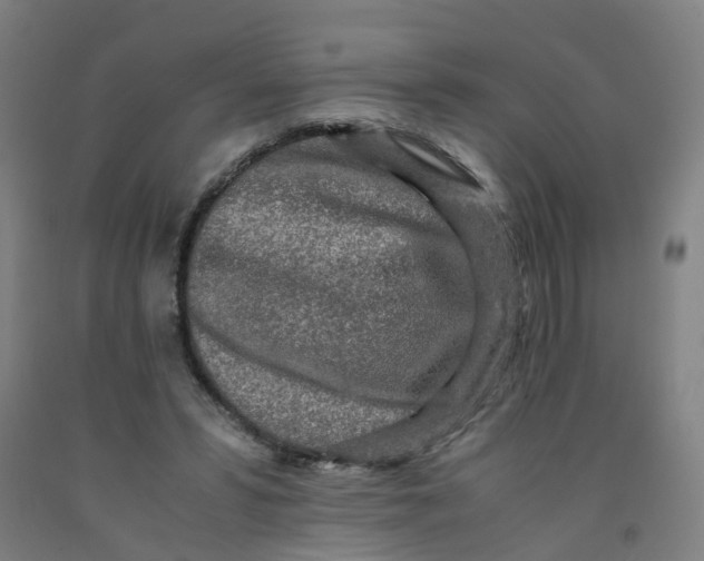 X0000091980399200709271431