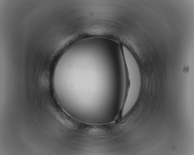 X0000091980400200709271431