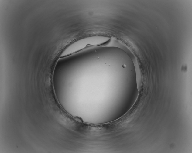 X0000091980401200709271431