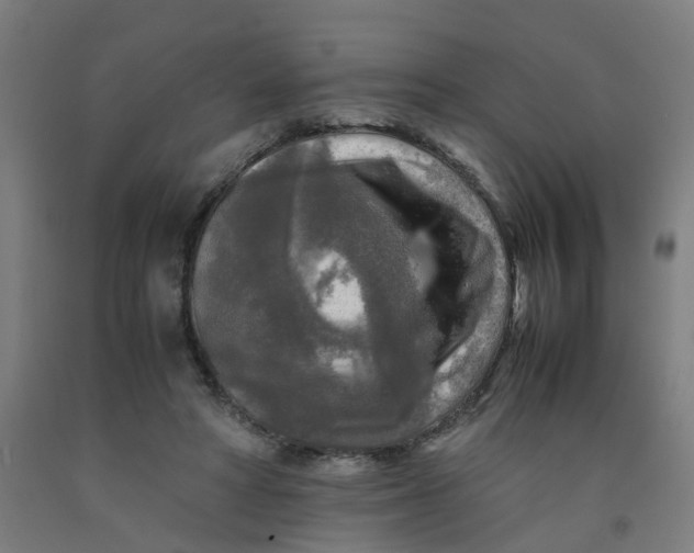 X0000091980402200709271431