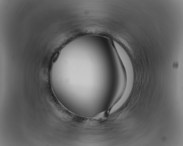 X0000091980403200709271431