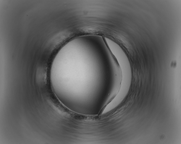 X0000091980404200709271431