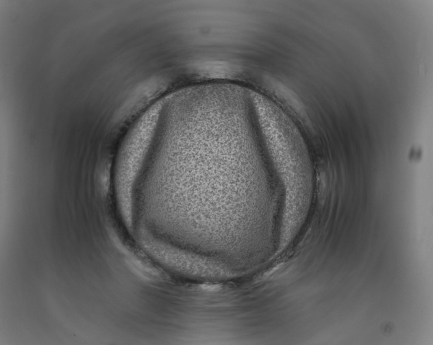 X0000091980406200709271431