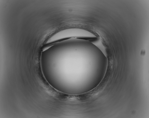X0000091980407200709271431