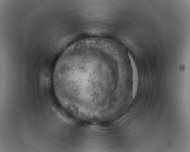 X0000091980408200709271431