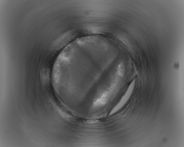 X0000091980410200709271431