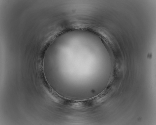 X0000091980411200709271431