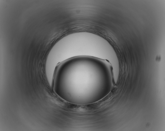 X0000091980412200709271431