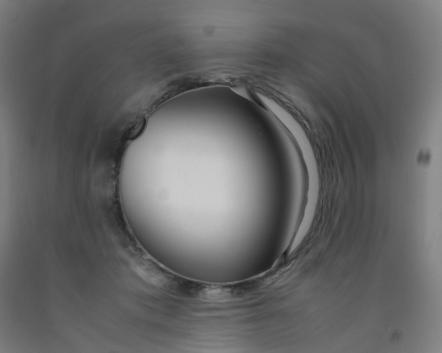 X0000091980413200709271431