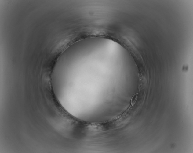 X0000091980415200709271431