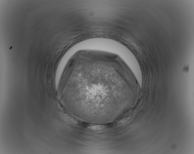 X0000091980417200709271431