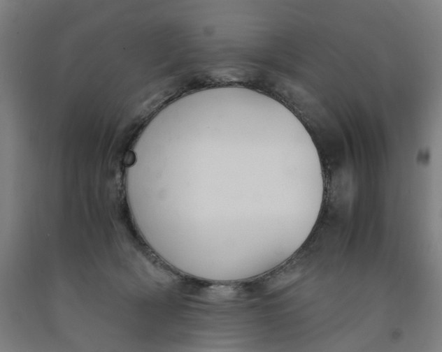X0000091980418200709271431