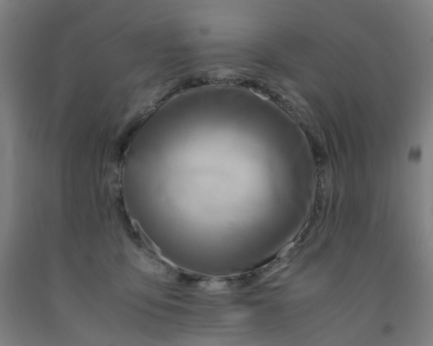 X0000091980419200709271431