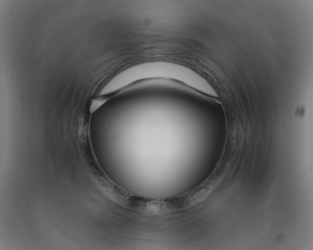 X0000091980420200709271431