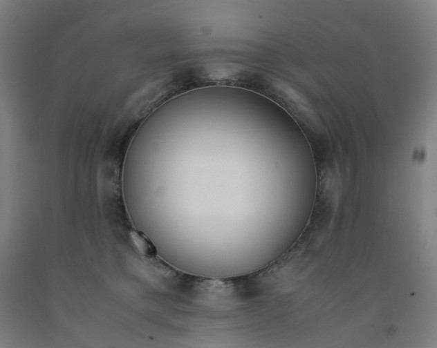 X0000091980421200709271431