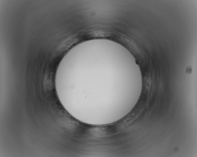X0000091980422200709271431