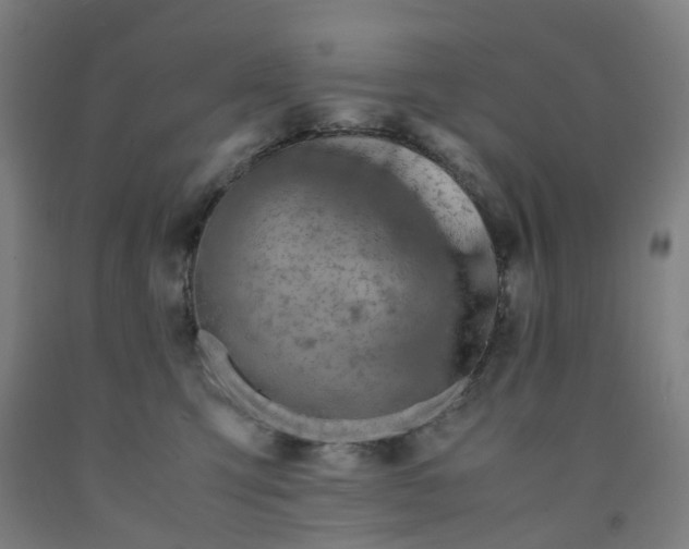 X0000091980423200709271431
