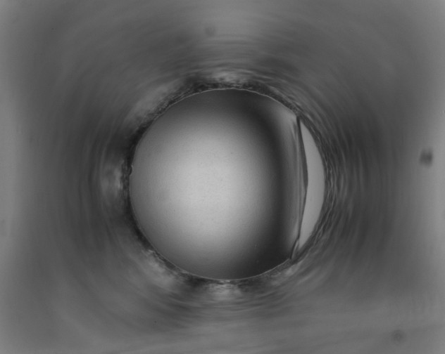 X0000091980424200709271431
