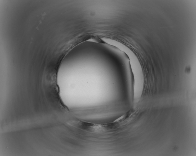 X0000091980425200709271431
