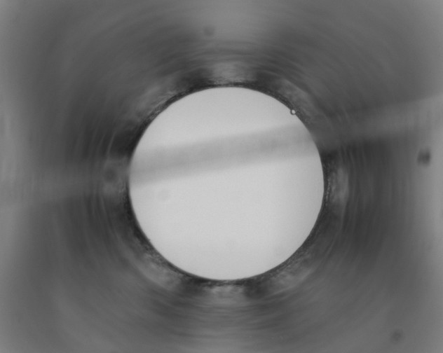X0000091980426200709271431