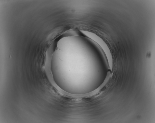 X0000091980428200709271431