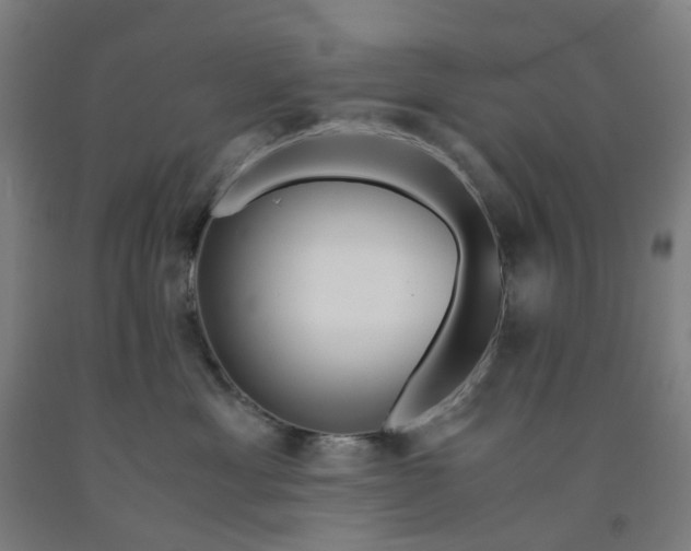 X0000091980429200709271431