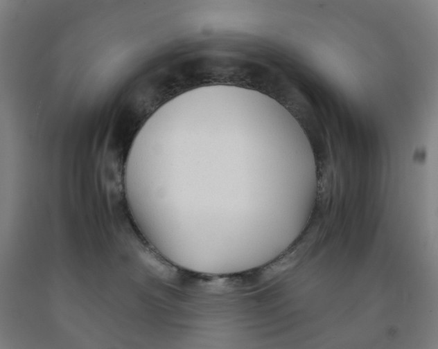 X0000091980430200709271431