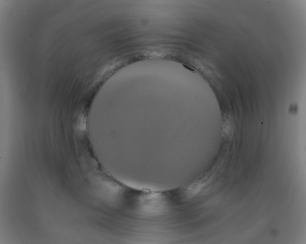 X0000091980431200709271431
