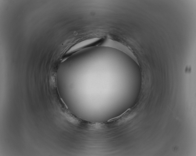 X0000091980432200709271431
