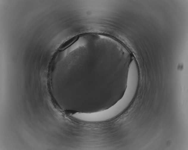X0000091980434200709271430