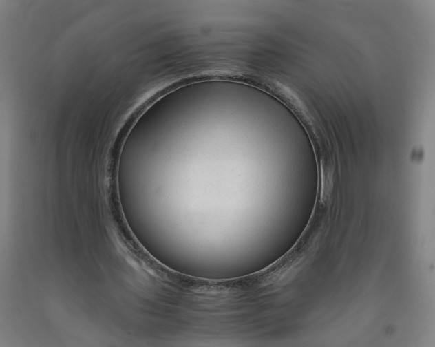 X0000091980435200709271430