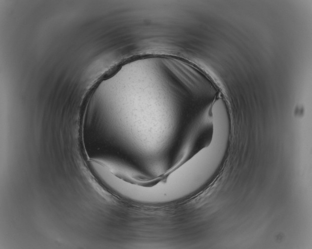 X0000091980437200709271430