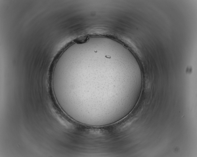 X0000091980439200709271430