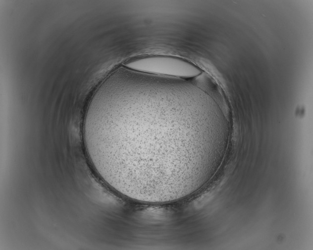 X0000091980441200709271430
