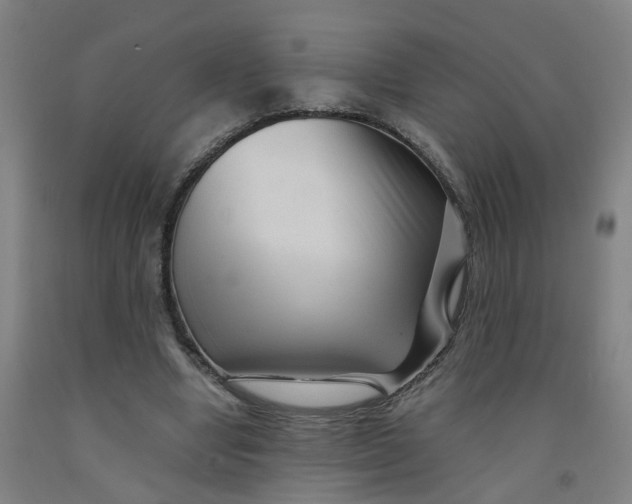 X0000091980442200709271430