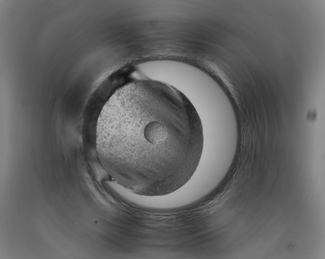 X0000091980443200709271430