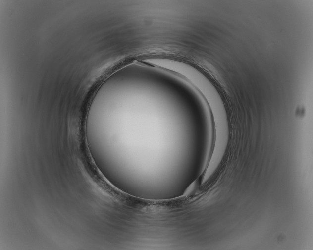 X0000091980444200709271430