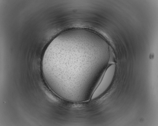 X0000091980445200709271430