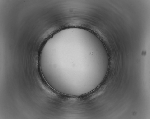 X0000091980446200709271430