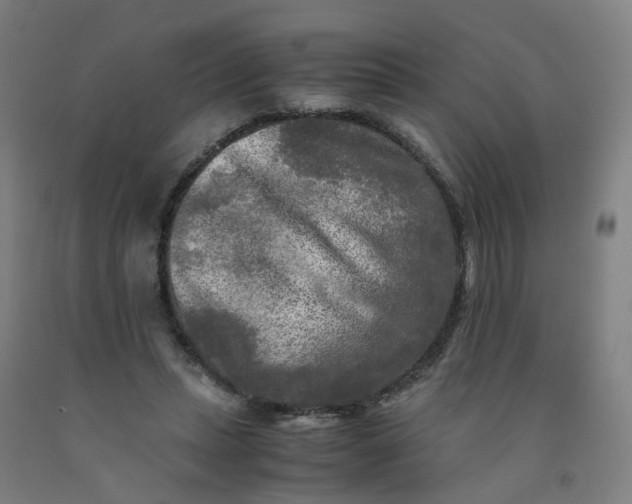 X0000091980447200709271430