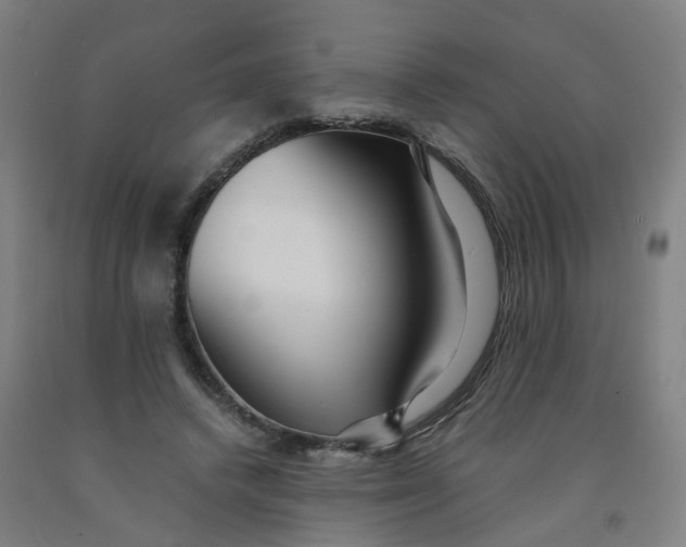 X0000091980448200709271430