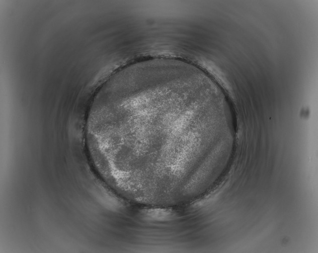X0000091980449200709271430