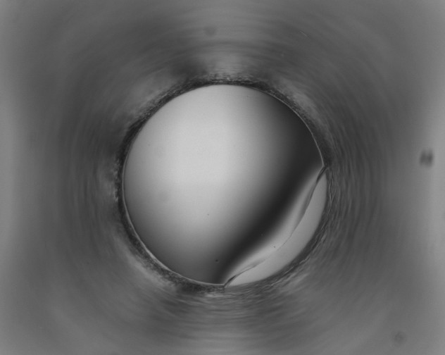 X0000091980450200709271430
