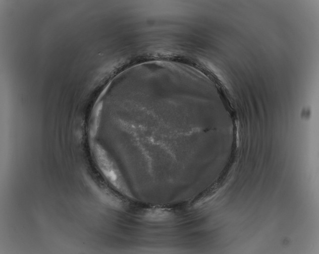 X0000091980451200709271430
