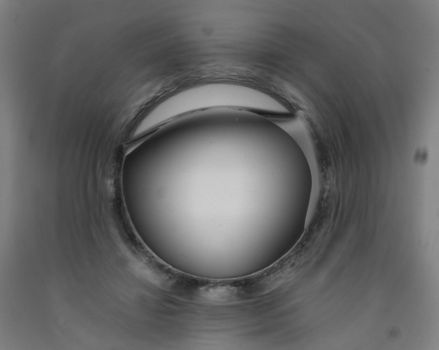 X0000091980452200709271430