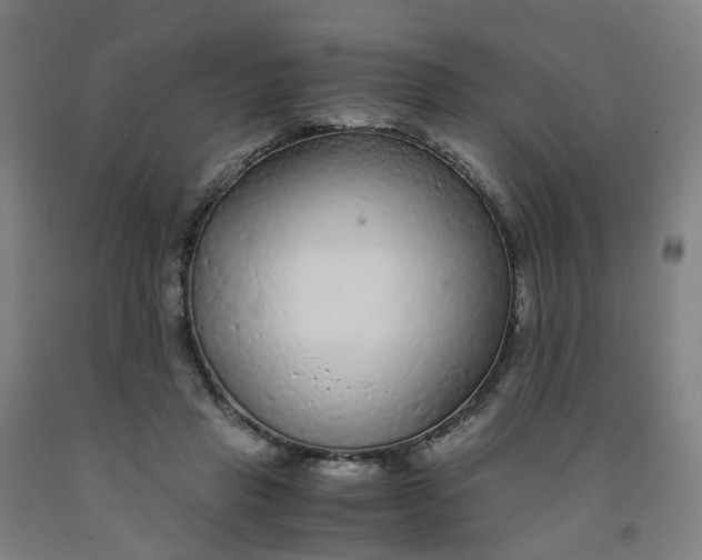 X0000091980453200709271430