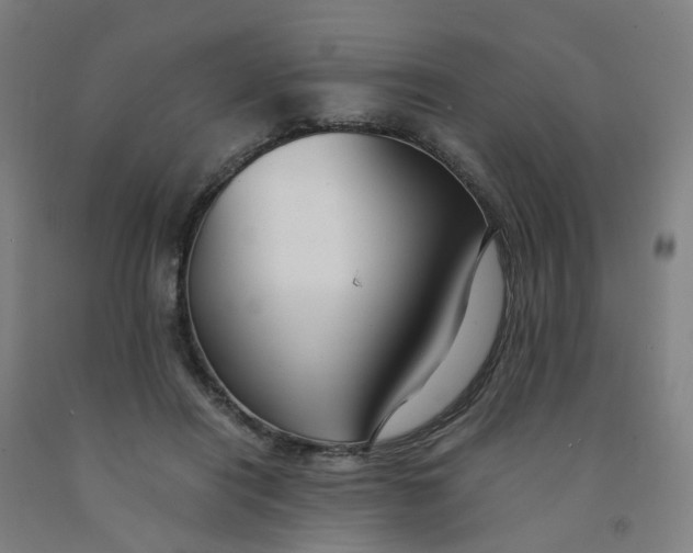 X0000091980454200709271430