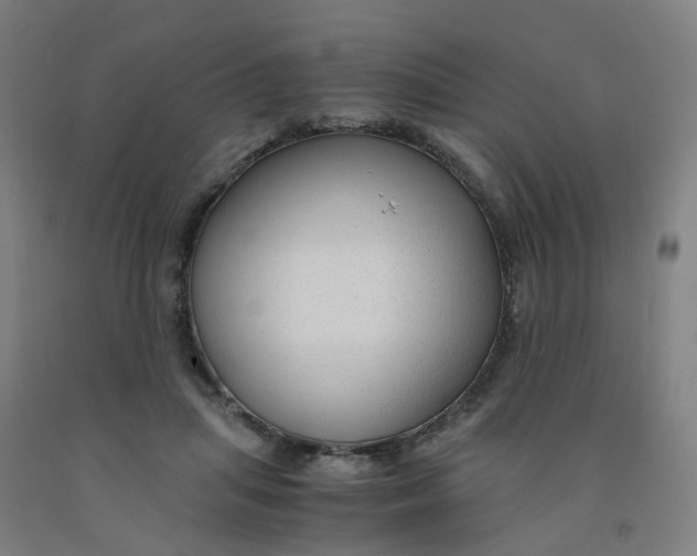 X0000091980455200709271430